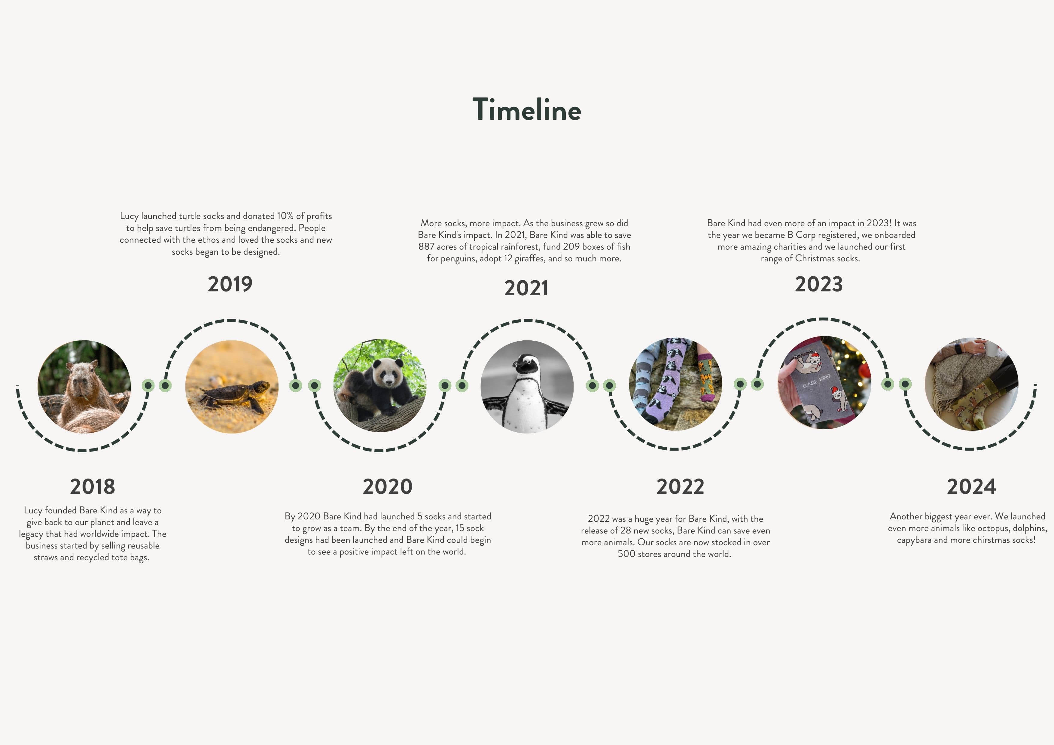 Impact report, timeline