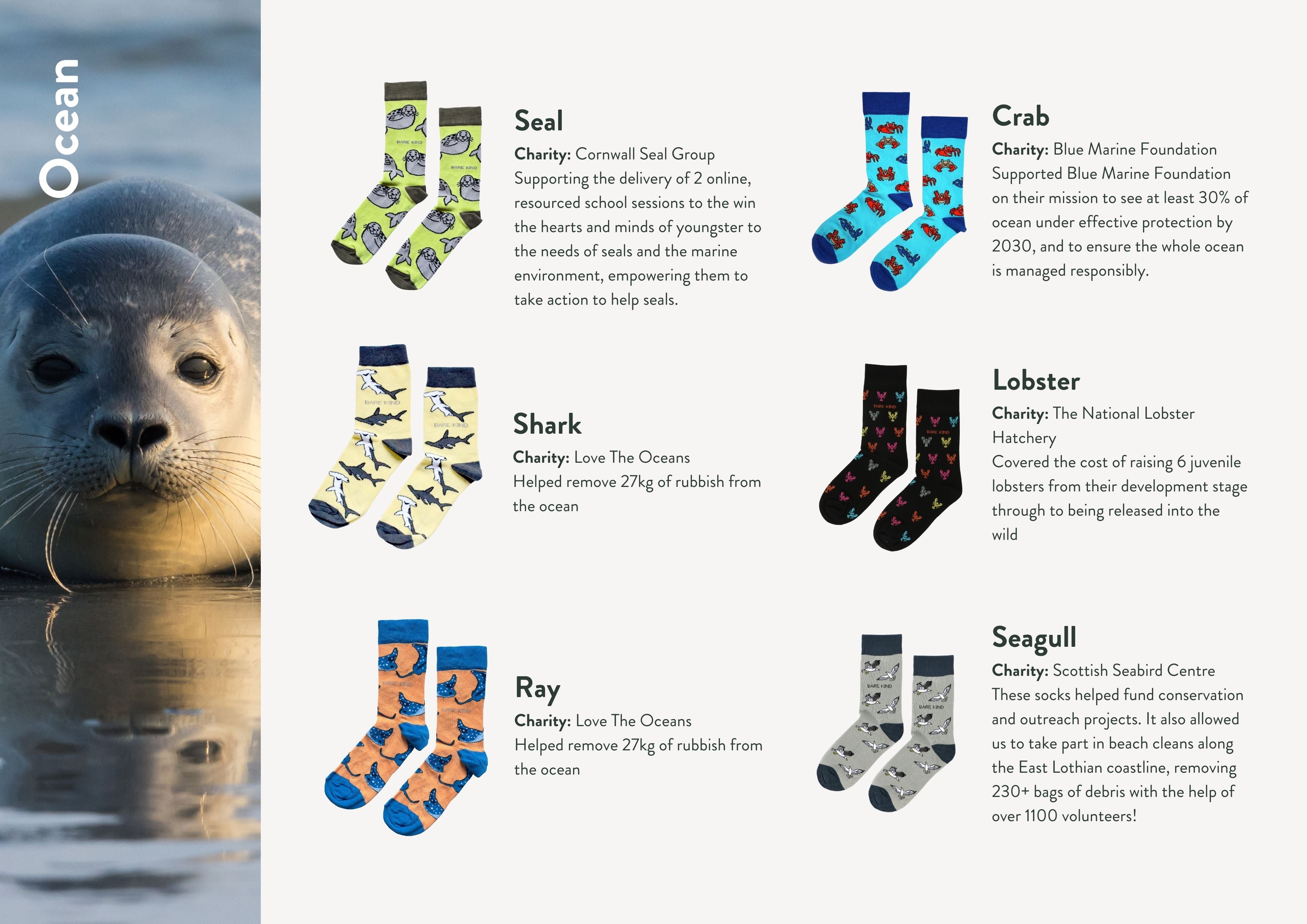 Impact report charities, animals and socks