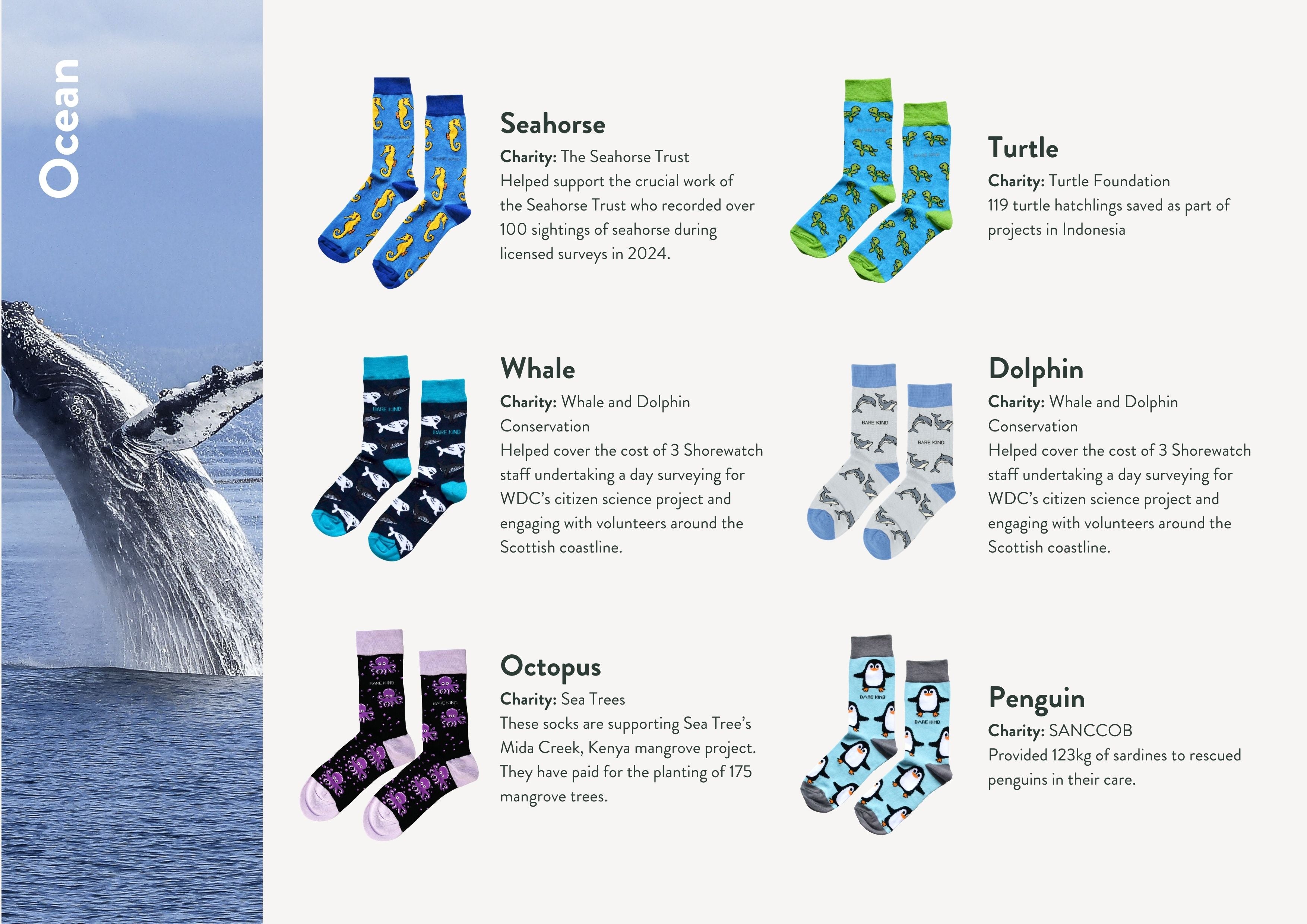 Impact report charities, animals and socks