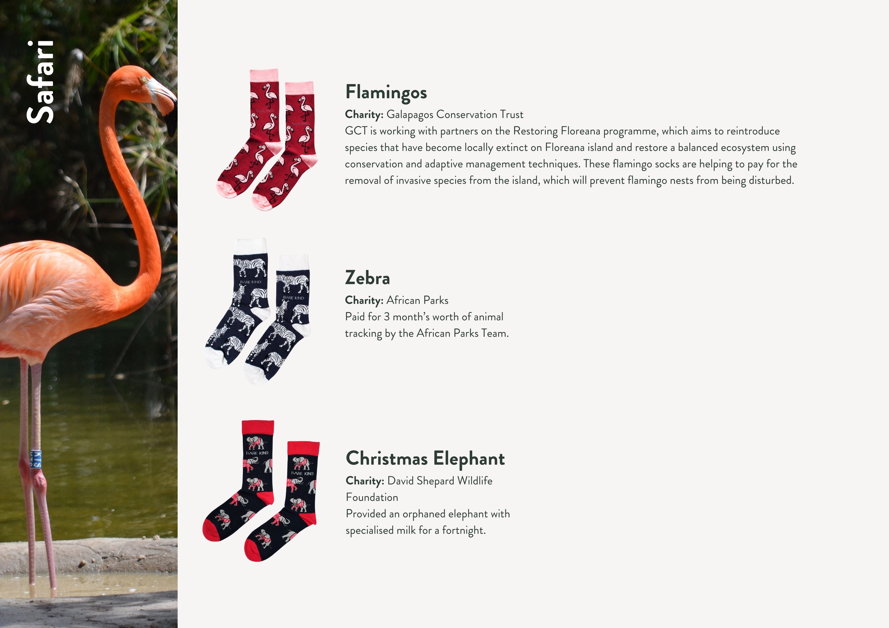 Impact report charities, animals and socks