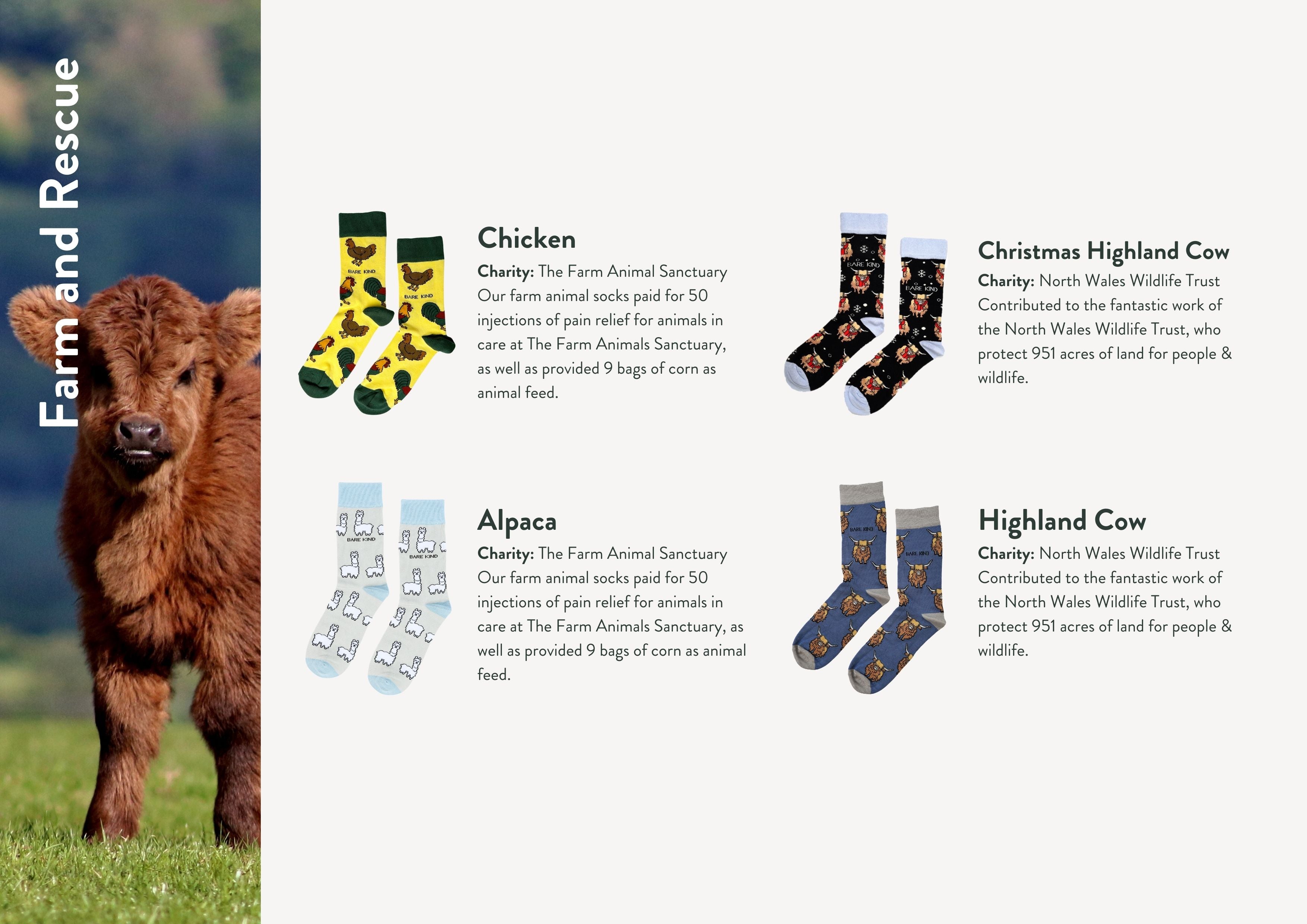 Impact report charities, animals and socks