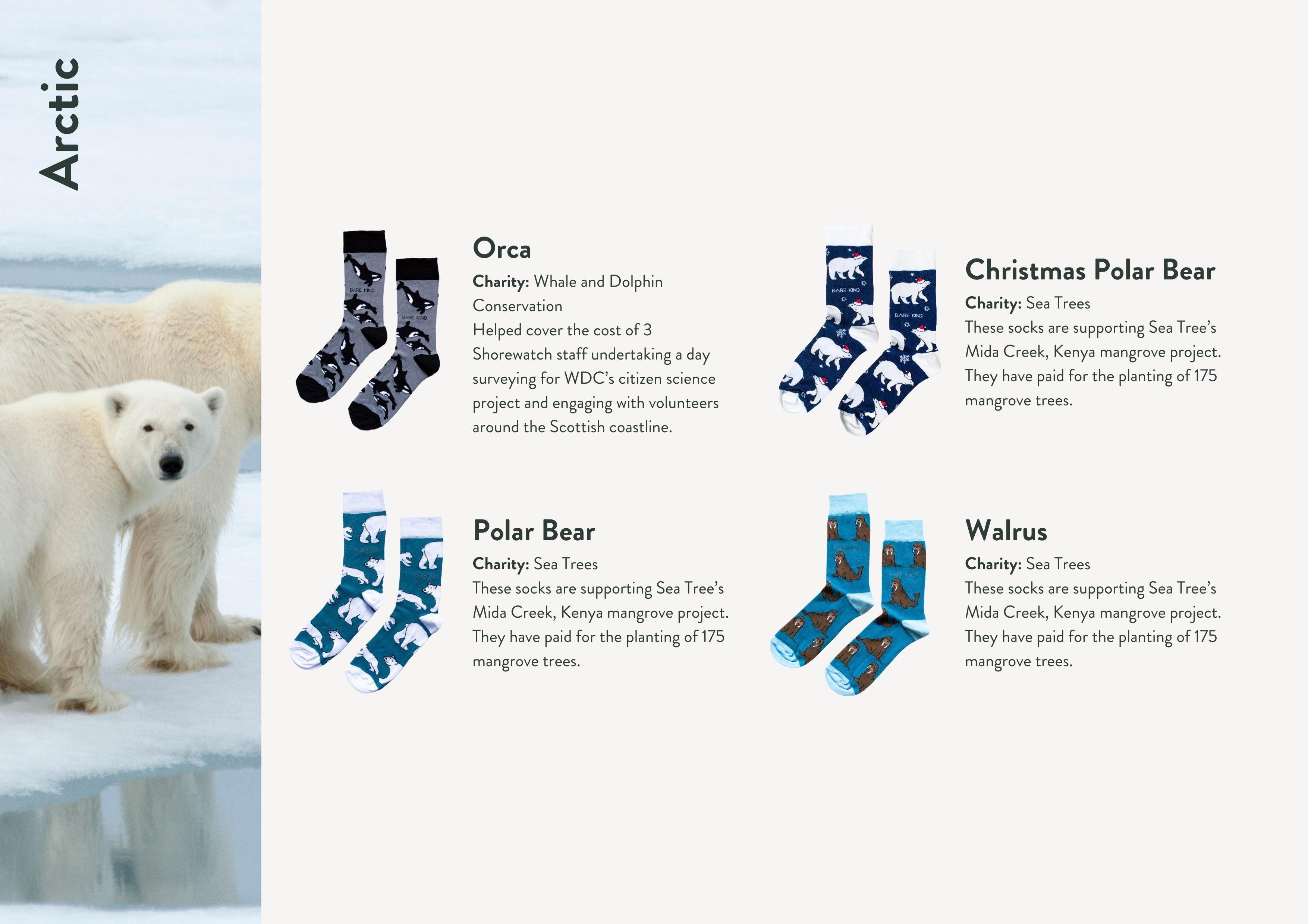 Impact report charities, animals and socks