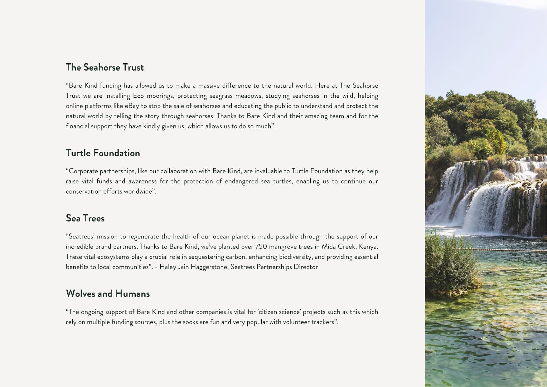 Impact report, Hear from our charities