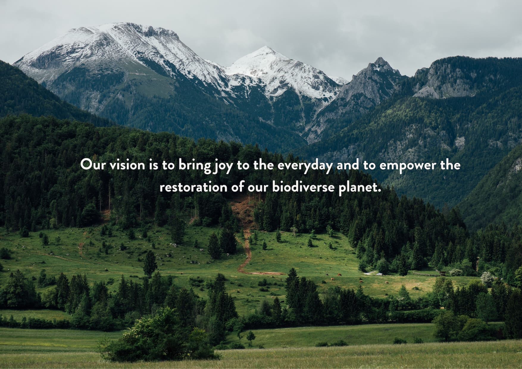 Impact report, Our vision