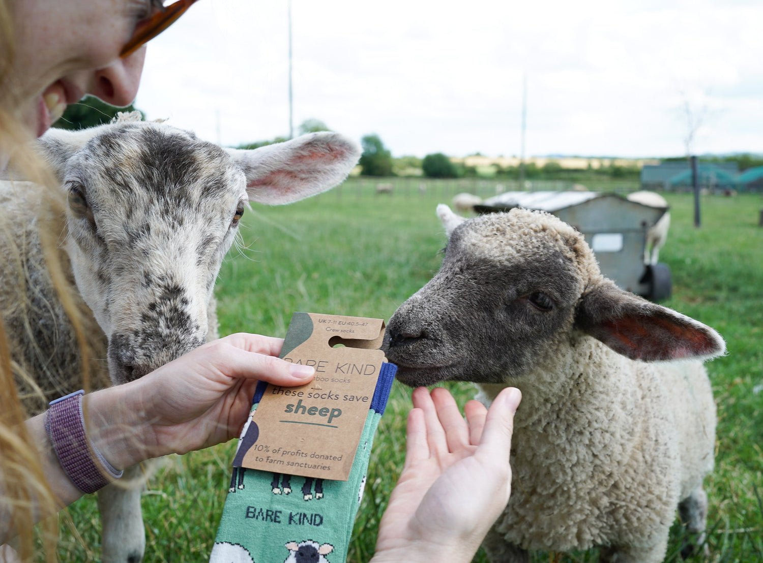 Lucy with a sheep and green sheep bamboo socks