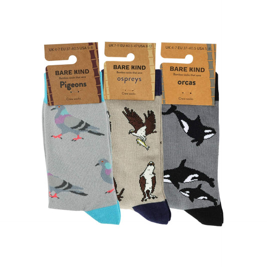 Shades of Grey Bundle of 3