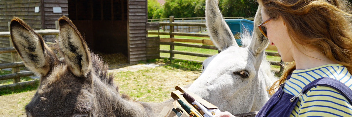 Lucy with some horses