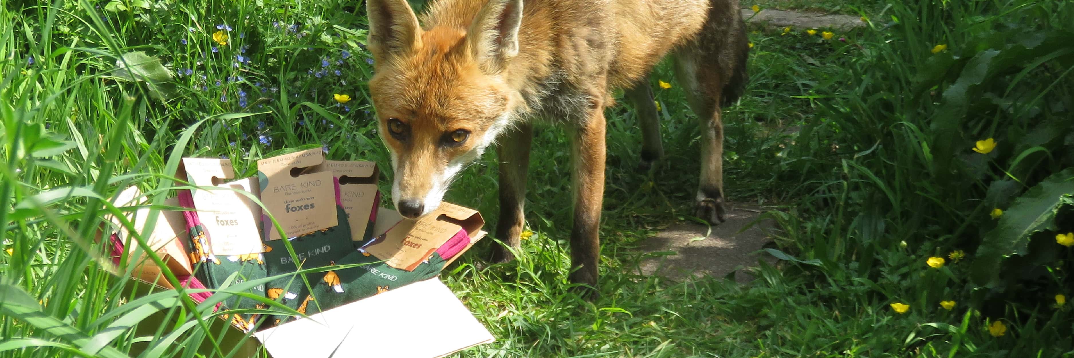 Fox with a box full of foxes bamboo socks