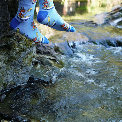 Person wearing blue fox socks on a natural landscape.