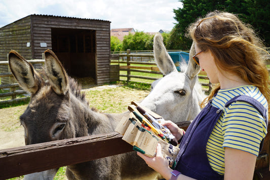 lucy jeffrey, bare kind, the farm animal sanctuary, charity visit