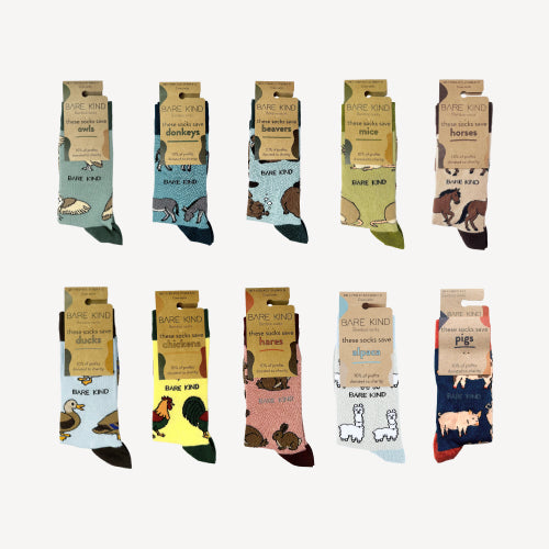 multipack bamboo socks