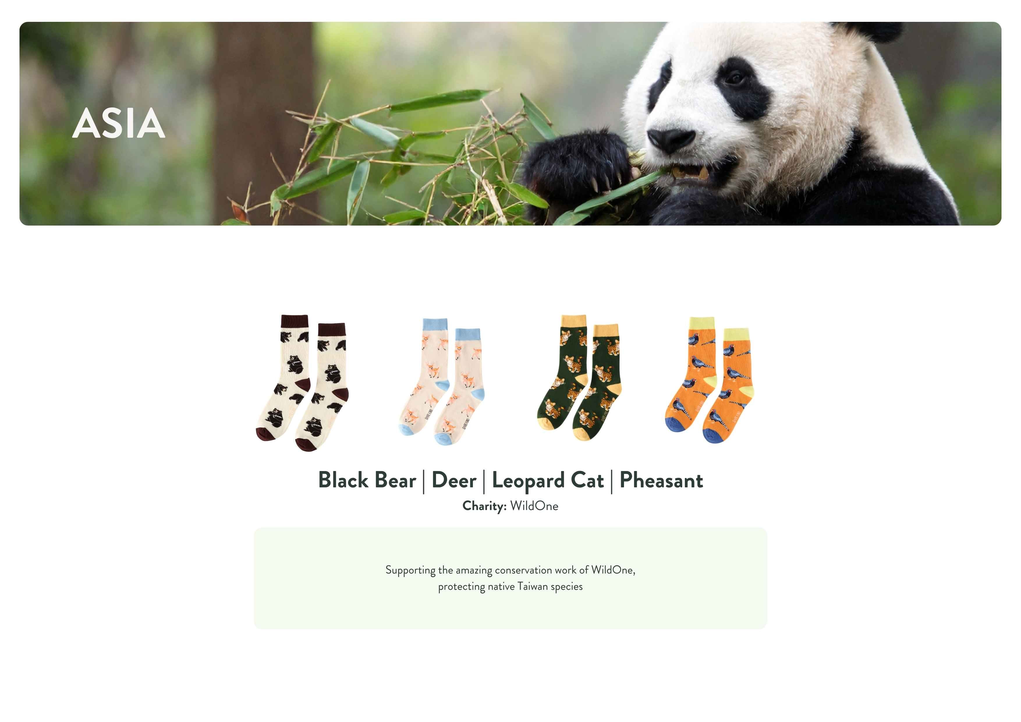Panda eating bamboo with sock designs below on a white background