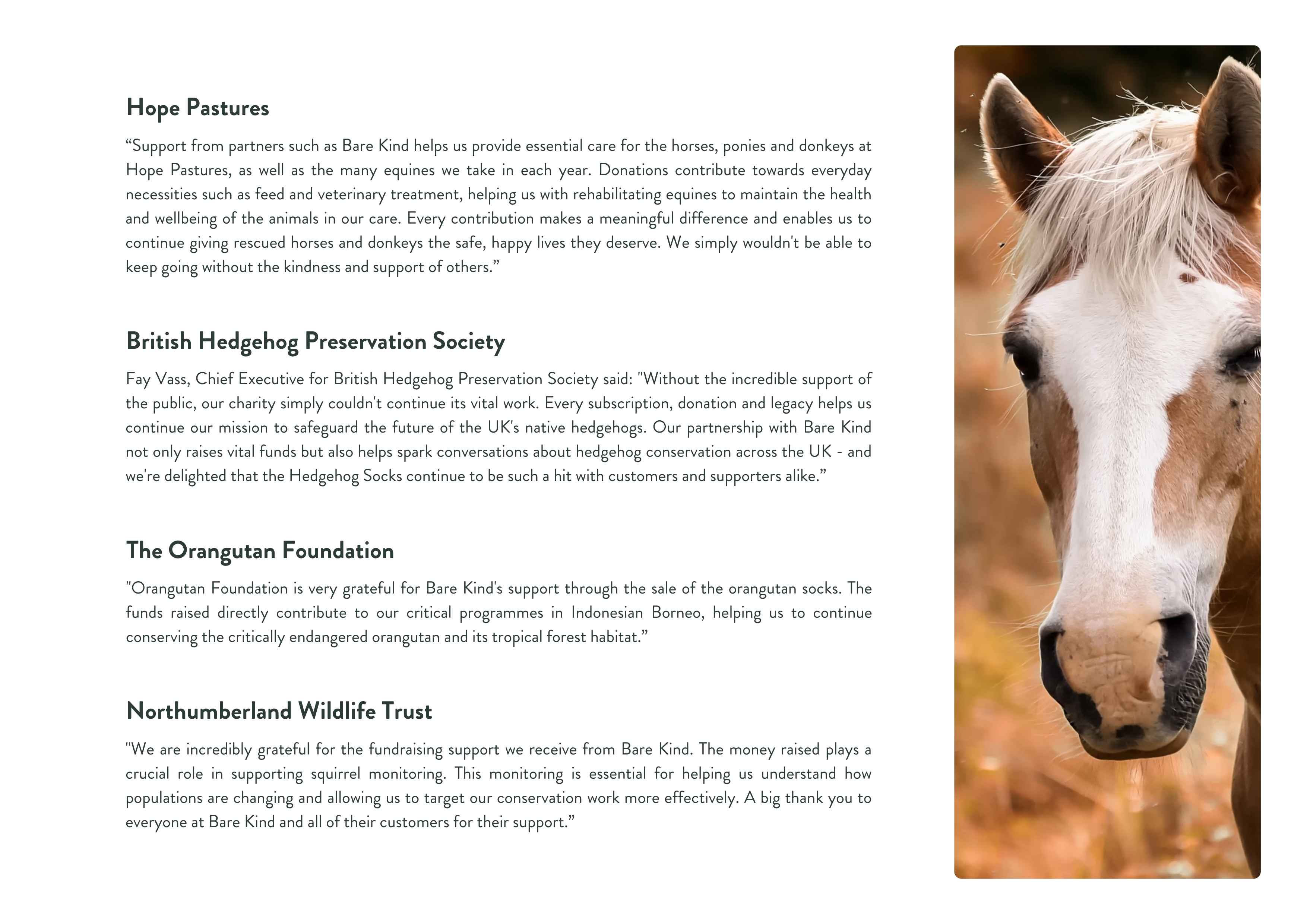 Horse