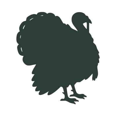 Silhouette of a turkey on a white background