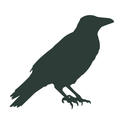 Black silhouette of a bird on a white background