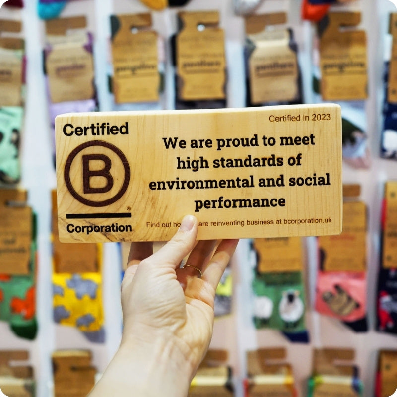 Hand holding a wooden B Corp certification plaque in front of shelves with products.