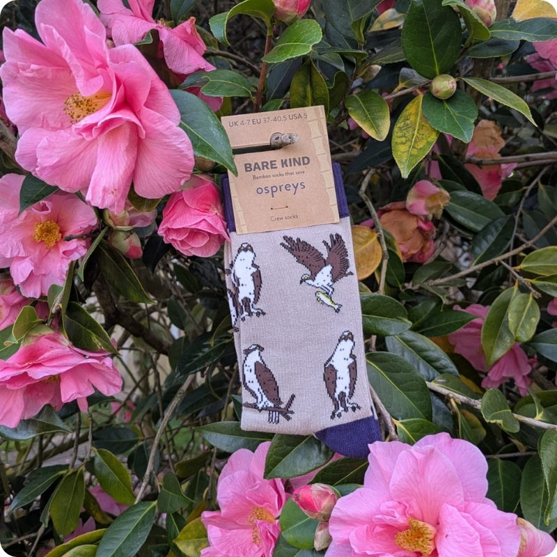 A packaged pair of socks with a pattern of ospreys, displayed against a background of pink flowers and green leaves. The packaging card reads 'BARE KIND socks ospreys'.