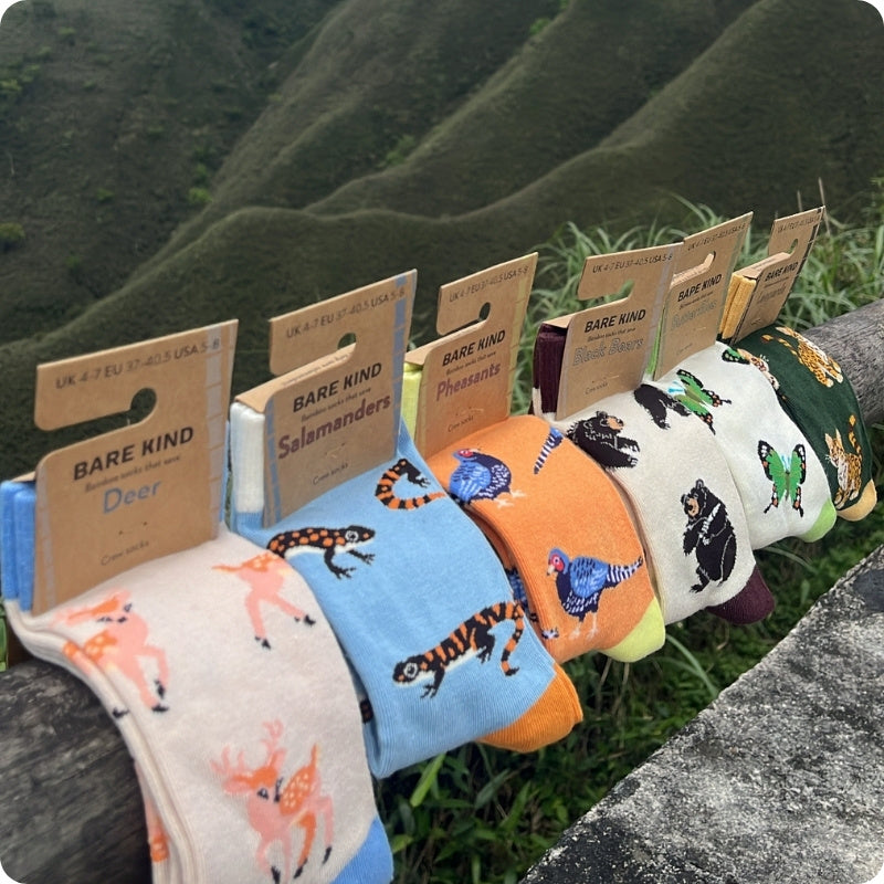 A row of Bare Kind animal print socks hanging from kraft paper tags on a wooden railing, with a scenic mountain landscape in the background.