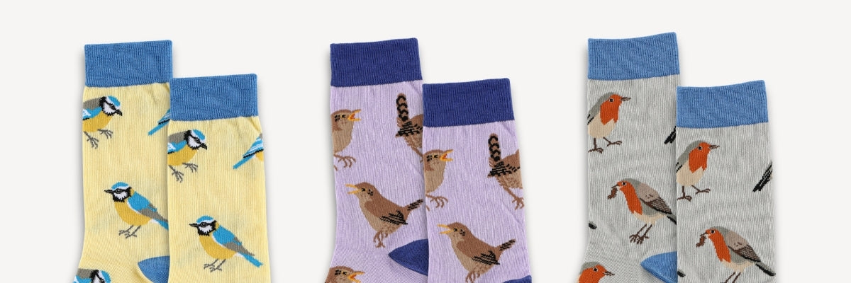 Three pairs of socks with bird patterns on a white background
