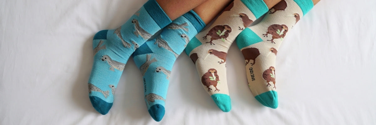 Two pairs of socks with seal and kiwi patterns on a white background