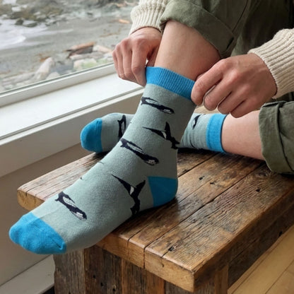 Person wearing orca-patterned socks with blue accents on a wooden bench by a window.