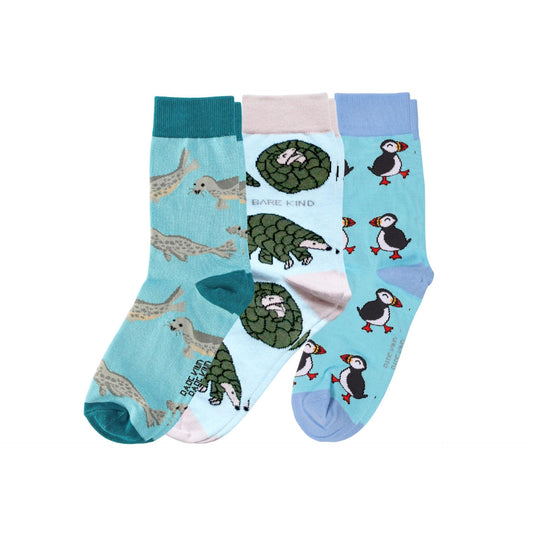 Blue Wonders Bundle of 3