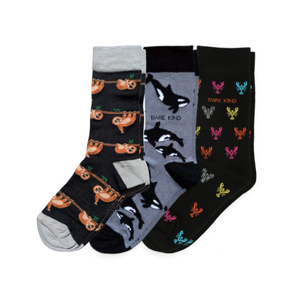 The Perfect Twilight Bundle of 3