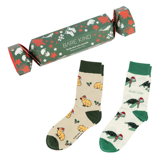 Blue & Green Christmas Cracker Bundle of 2