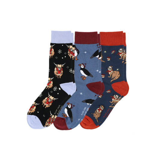 Blue Christmas Bundle of 3 Sock Set