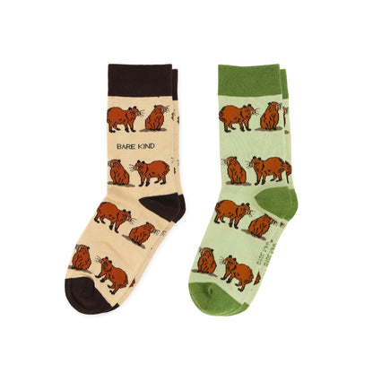 Capybara Lover Bundle of 2