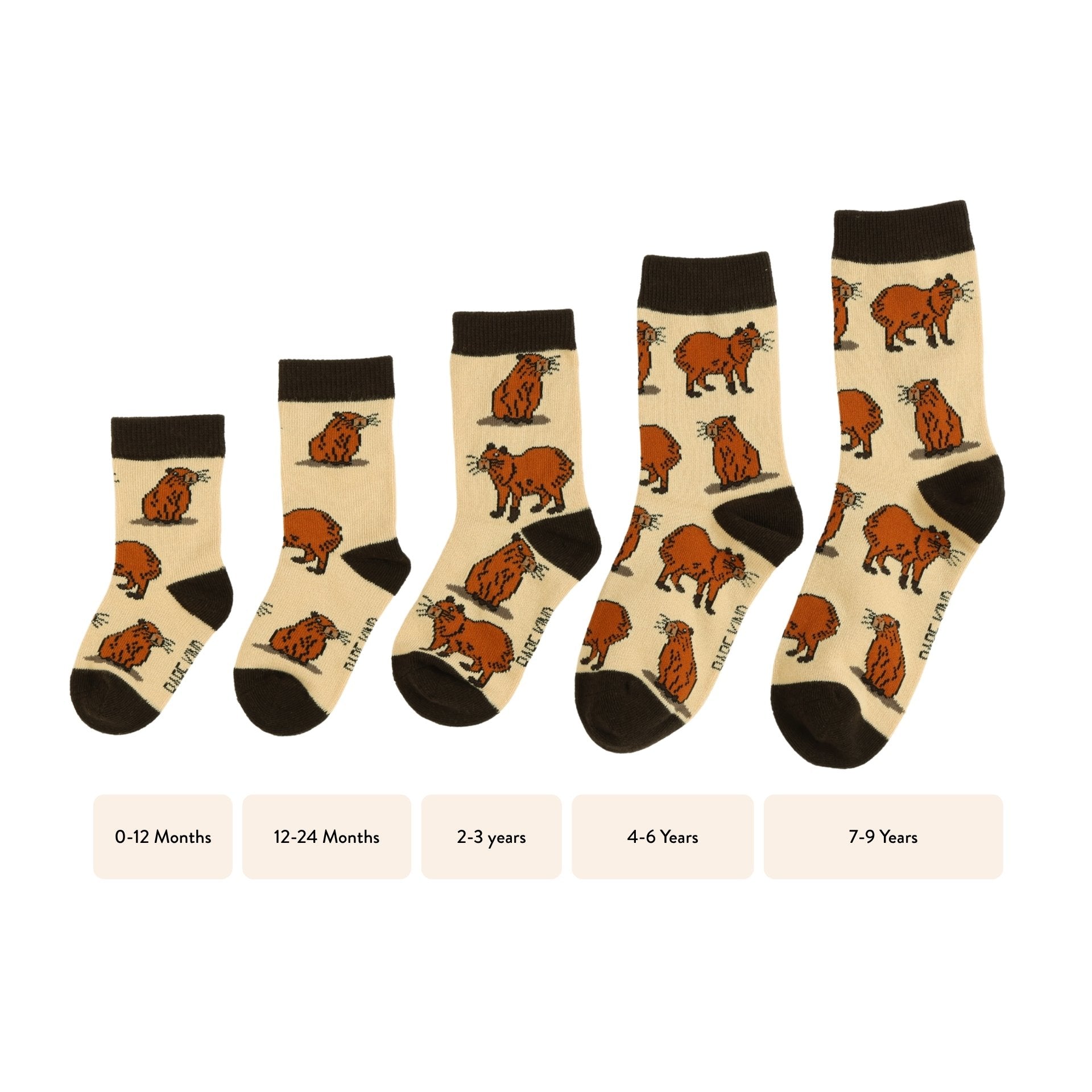 Set of children's socks with capybara pattern and size indicators on a white background