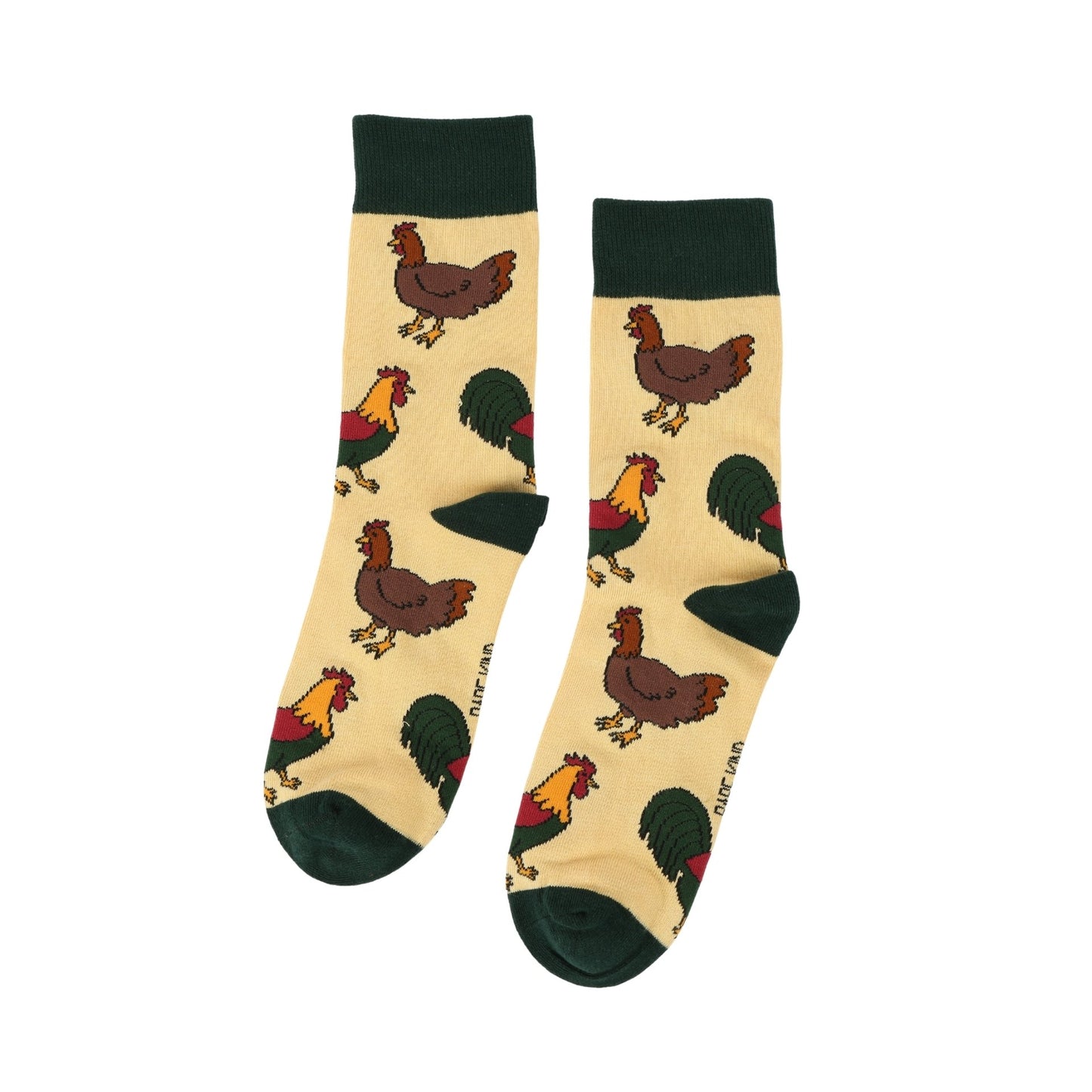 Pair of socks with chicken pattern on a white background