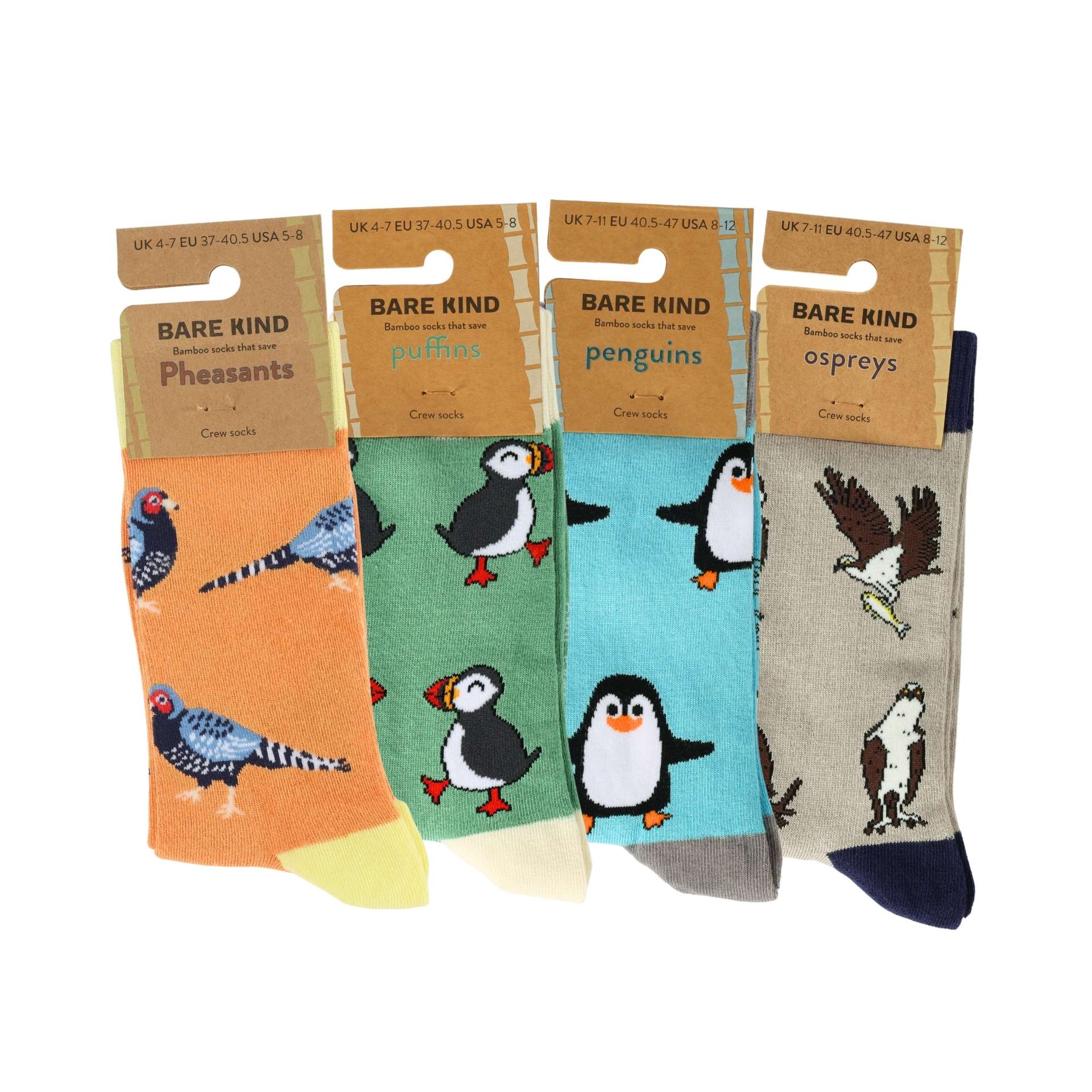 Feathered Rainbow Bundle of 4