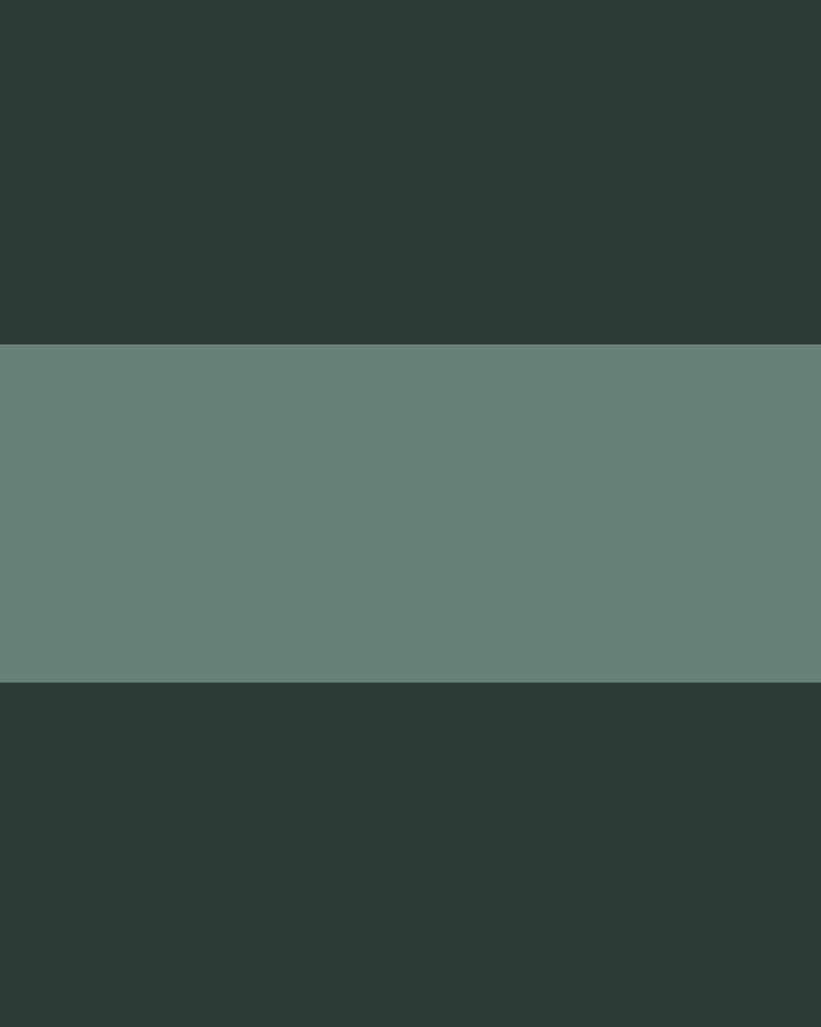 Solid dark green color swatch