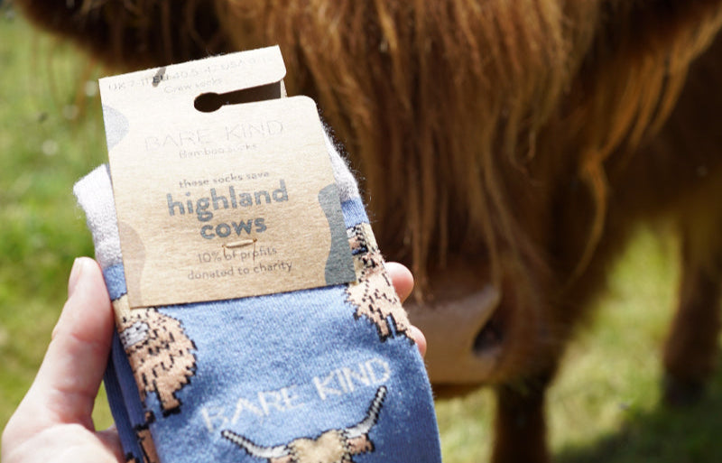 Highland Cow with a Highland Cow Bamboo Socks