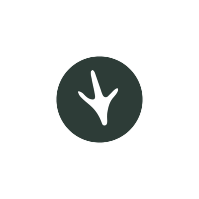 Kiwi icon