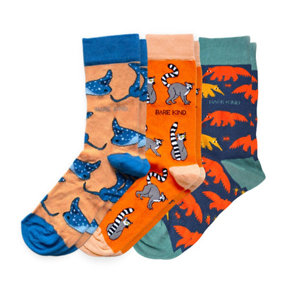 flat lays of orange Lemur, Ray & Anteater bamboo socks