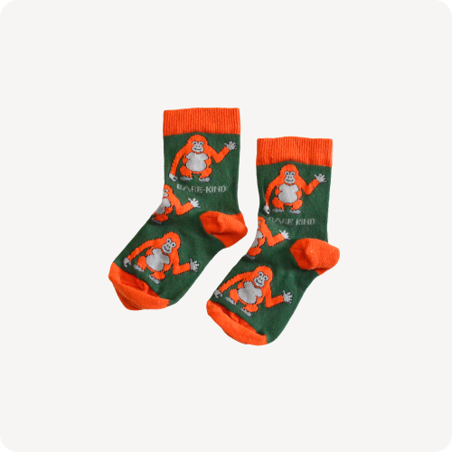 Flay lay of orangutan bamboo socks 