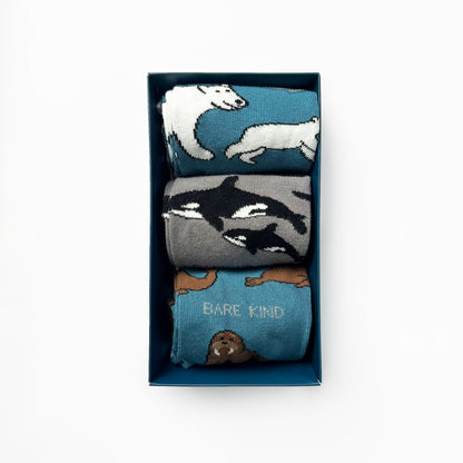 birds eye view of open arctic bamboo sock gift box