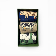 birds eye view of the open Farm Gift Box showcasing 3 colourful bamboo socks in farm animal designs