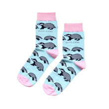 Blue and pink badgers bamboo socks, flat lay