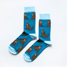 flat lay of blue bamboo walrus socks