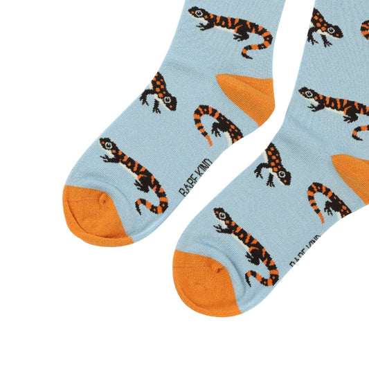 Pair of socks with salamander pattern on a light blue background
