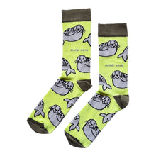 flat lay of green seal socks