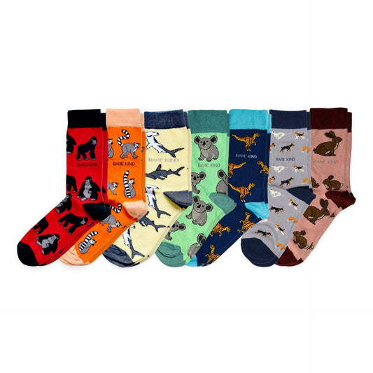 Step Into the Rainbow Bundle of 7