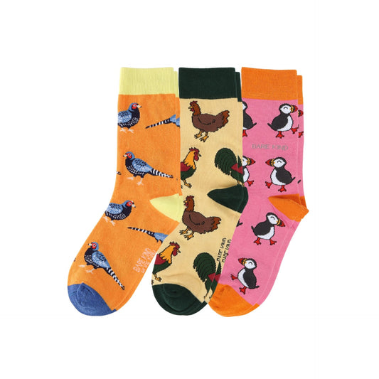 Sunset Bird Bundle of 3