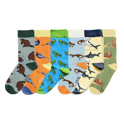 Set of colorful socks with animal patterns on a white background