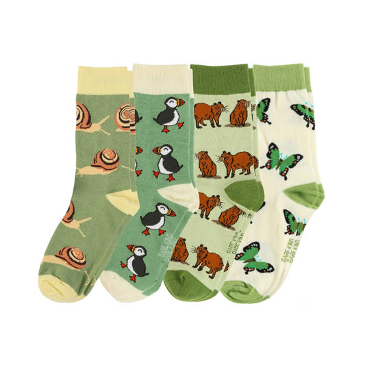 The Evergreen Bundle of 4