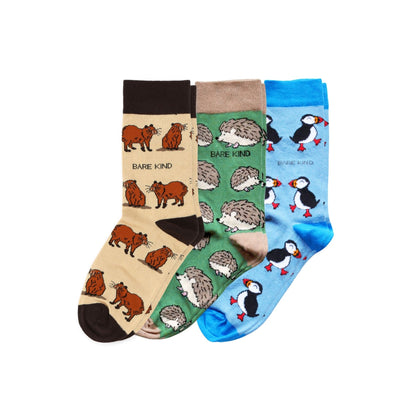 The Ultimate Bestselling Trio Bundle of 3