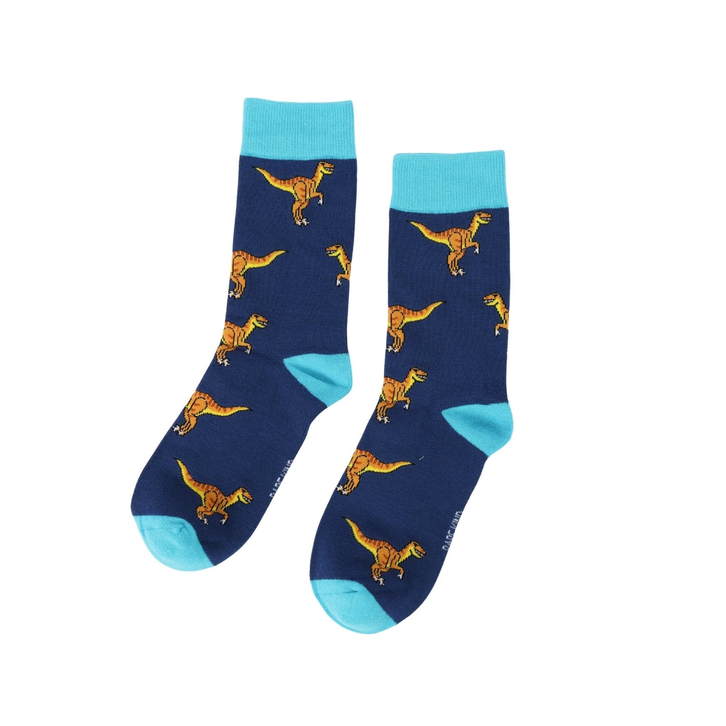 Navy socks with yellow dinosaur pattern and light blue toes and cuffs on a white background